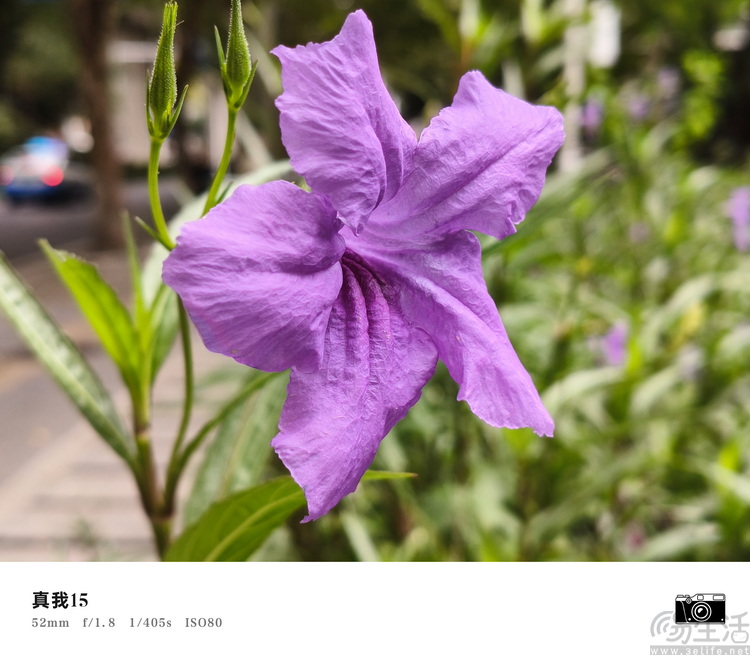 真我15首发评测:年轻人的娱乐平权神器 真我15首发评测:年轻人的娱乐平权神器