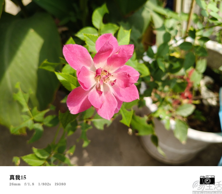 真我15首发评测:年轻人的娱乐平权神器 真我15首发评测:年轻人的娱乐平权神器