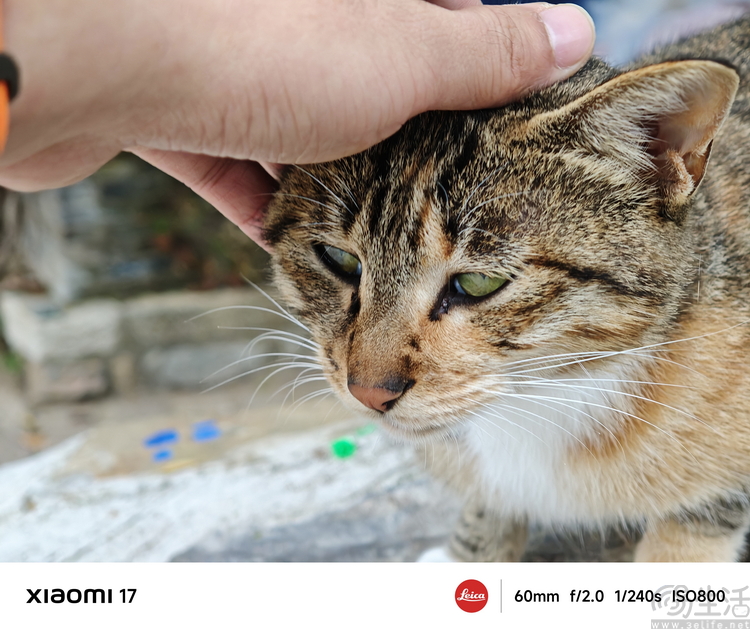 小米17首发评测:外观极致精致,配置均衡无短板 小米17首发评测:外观极致精致,配置均衡无短板