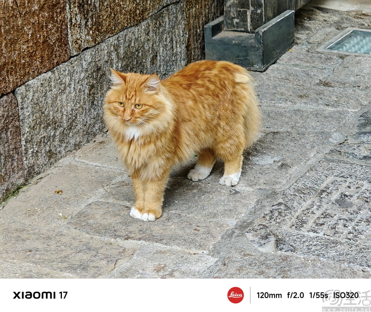 小米17首发评测:外观极致精致,配置均衡无短板 小米17首发评测:外观极致精致,配置均衡无短板