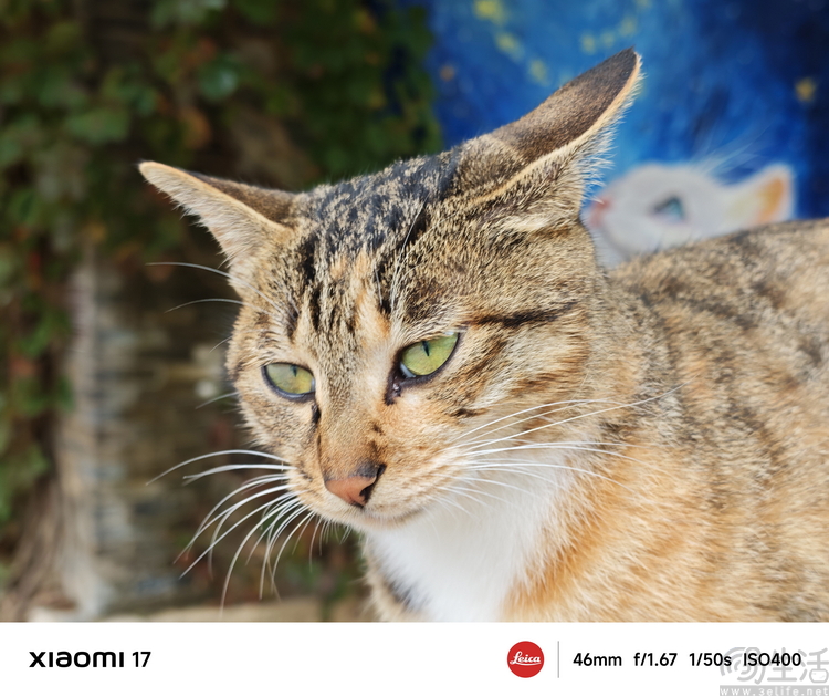 小米17首发评测:外观极致精致,配置均衡无短板 小米17首发评测:外观极致精致,配置均衡无短板